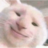 Kucing lucu 19