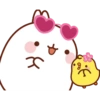 Molang y Piu Piu🧡 7