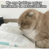 No me hablen estoy haciendo la estucidacion 421244 FERRE T www. Ja www. A AN N A W 201 wa ww Nak T @gatitos4ntidepresivos