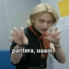 pantera, uaaar