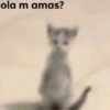 Animalitos Anti-depresivos 3 😼 16