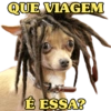 QUE VIAGEM
É ESSA?