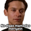 No digas mamadas
meriyein
@Harley Stickers