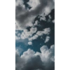 Aesthetic 8
