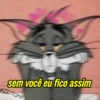 PARA OS APAIXONADOS(AS) 13