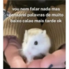 Yo sk 23