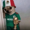 México 🇲🇽 Memes mundial ⚽🥅 29