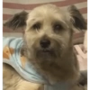 Ggg 11