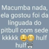 Figurinhas 🤹 31