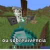 Bem vindo ao minecraft 11