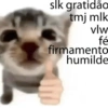 Cats (1/4) 31