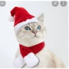 Gatos de navidad y de perros 17