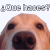 Respuesta para el chat❤ 19