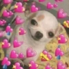Explosão de amor 9