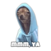 mmm, YA