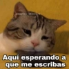 Aquí esperando a que me escribas