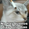 No hay buenos días solo días
