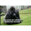 ALLAHIM BU GECEYL
TARİHTEN SİLMEK