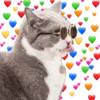MASCOTAS AMOROSAS 💕💓 7