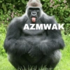 AZMWAK
Will t