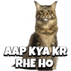 CATS 10