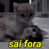 sai fora