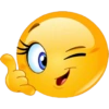Twitter  33