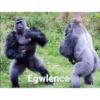 Eğwlence
asieko
