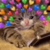 MEME LOVE 💕 14
