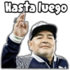 Hasta luego Vickyfas