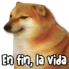 🌊 MEMES Random 1.5 🍻 23