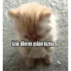 Turkiyey 47