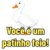 Animais com duplo sentido 11