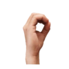 Mexican Sign Language 16