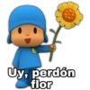 Uy, perdón
flor