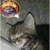 Cats (1/4) 33