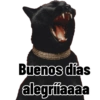 Los buenos días  28