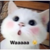 Waaaaa
