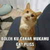 BOLEH KU CAKAR MUKAMU
GA? PLISS
1