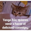 Tengo frío, quieres
venir a hacer el
delicioso conmigo¿