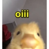 oiii