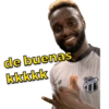 Vozão raiz/6 8