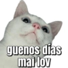 Respuesta para el chat❤ 18