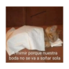 gautonypertosalidos
A mimir porque nuestra
boda no se va a soñar sola