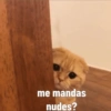 me mandas
nudes?