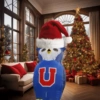 Universidad de chile 💙❤️🔵🔴🔴 14