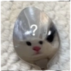 Yo sk 17
