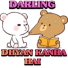 DARLING
DHYAN KANHA
HAI