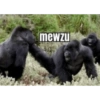 mewzu