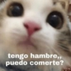 Memes solo para ti 1 🥵😍😎 5